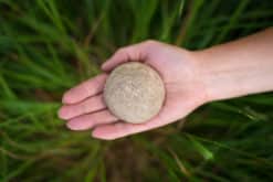 Solid Shampoo for Normal Hair